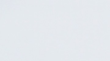 Former Major League Baseball player Jose Canseco attends the debut of "Linda Suzanne Sings Divas of Pop" at the South Point Hotel & Casino. Photo by Gabe Ginsberg/Getty Images for Cheryl J. Kagan PR