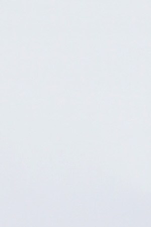 Former Major League Baseball player Jose Canseco attends the debut of "Linda Suzanne Sings Divas of Pop" at the South Point Hotel & Casino. Photo by Gabe Ginsberg/Getty Images for Cheryl J. Kagan PR