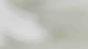 Photo by Westend61 / Getty