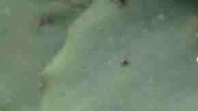 Photo by Bloomberg Creative Photos / Getty