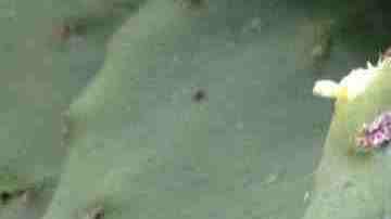 Photo by Bloomberg Creative Photos / Getty