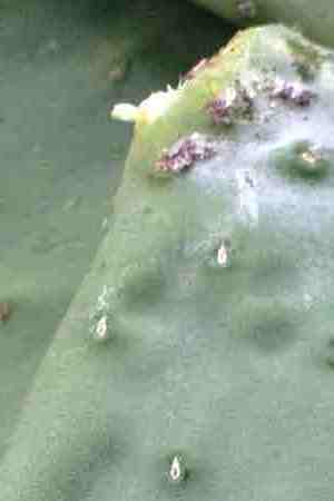 Photo by Bloomberg Creative Photos / Getty