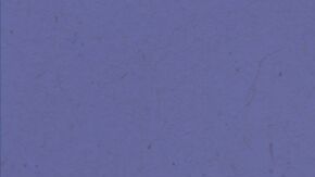 Photo by Cesar Berrios. Courtesy of the artist