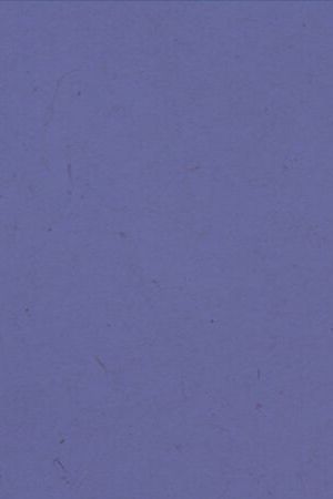 Photo by Cesar Berrios. Courtesy of the artist