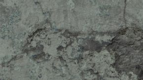 Courtesy of Miami Film Festival