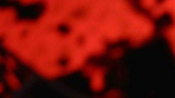 Lil Pump performs onstage at the STAPLES Center Concert Sponsored by SPRITE during the 2018 BET Experience on June 23, 2018 in Los Angeles, California. Photo by Ser Baffo/Getty Images for BET