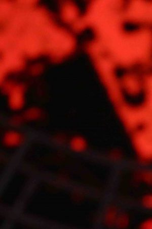 Lil Pump performs onstage at the STAPLES Center Concert Sponsored by SPRITE during the 2018 BET Experience on June 23, 2018 in Los Angeles, California. Photo by Ser Baffo/Getty Images for BET