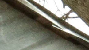 Photo Itzel Alejandra Martinez