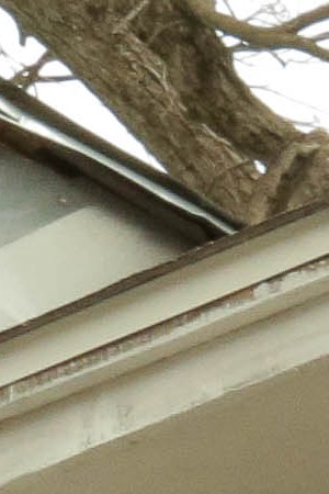 Photo Itzel Alejandra Martinez