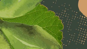 Art by Alan Lopez for Remezcla