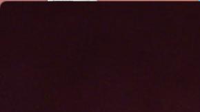 'The Garden Left Behind' still courtesy of SXSW