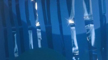 Photo by Flamiguettes. Courtesy of Ximena Sariñana