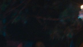 Courtesy of Miami Film Festival