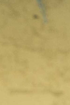 Brenda Equihua_Itzel Alejandra 55