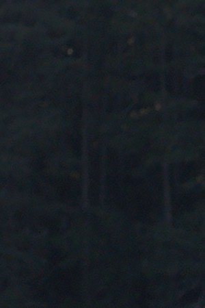 Courtesy of Tribeca Film Festival