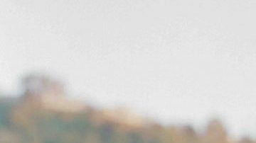 Photo by David "Suscato" Rodriguez. Courtesy of Orienteer