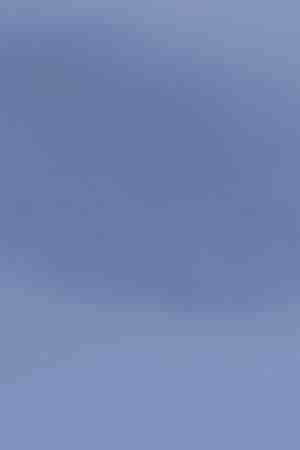 Photo by Natanael Ginting / 	iStock / Getty Images Plus