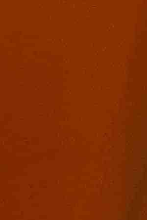 Photo by 	Layland Masuda / 	Moment