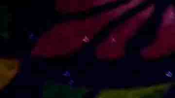 Photo by loeskieboom / iStock / Getty Images Plus