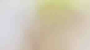 Photo by Rattankun Thongbun / iStock / Getty Images Plus