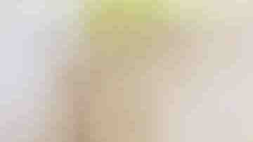 Photo by Rattankun Thongbun / iStock / Getty Images Plus