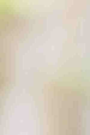 Photo by Rattankun Thongbun / iStock / Getty Images Plus