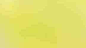 Photo by Purple Collar Pet Photography / Moment