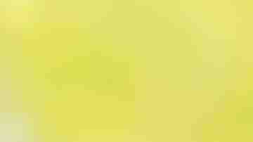 Photo by Purple Collar Pet Photography / Moment