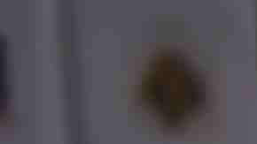 Chef Daniela Soto- Innes prepares food for A Dinner with Rick Bayless and Daniela Soto-Innes part of the Bank of America Dinner series curated by Chefs Club at Hôtel Plaza Athénée on October 14, 2016 in New York City. Photo by Dave Kotinsky/Getty Images for NYCWFF