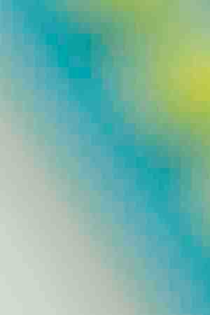 Photo by areeya_ann / 	iStock / Getty Images Plus