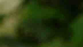 eru's President Alan Garcia speaks during his meeting with U.S. President George W. Bush in the Oval Office at the White House April 23, 2007 in Washington, DC. Photo by G. Fabiano-Pool/Getty Images