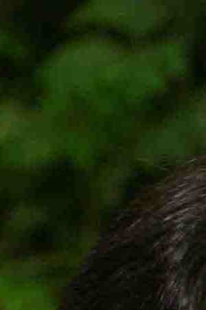 eru's President Alan Garcia speaks during his meeting with U.S. President George W. Bush in the Oval Office at the White House April 23, 2007 in Washington, DC. Photo by G. Fabiano-Pool/Getty Images