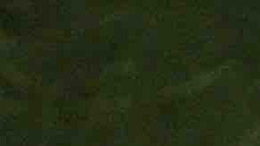 Nicaraguan president Daniel Ortega addresses the 62nd United Nations General Assembly at the United Nations headquarters September 25, 2007 in New York City. Photo by Spencer Platt/Getty Images