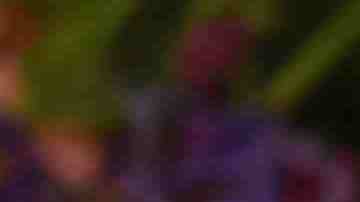 John Leguizamo attends the The 63rd Annual Obie Awards at Terminal 5 on May 21, 2018 in New York City. Photo by Jenny Anderson/Getty Images for The American Theatre Wing