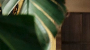 Photo by Scott Everett White. Courtesy of The CW