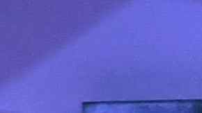 Photo by Ethan Miller/Getty Images