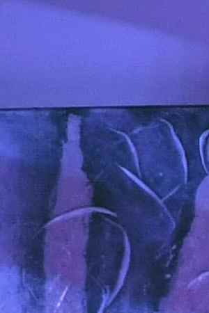 Photo by Ethan Miller/Getty Images