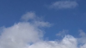 Photo by Alan Shaffer