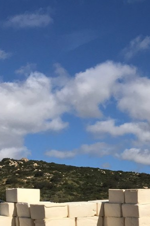 Photo by Alan Shaffer