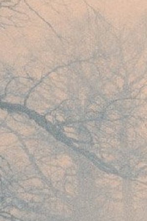 Courtesy of Warner Bros