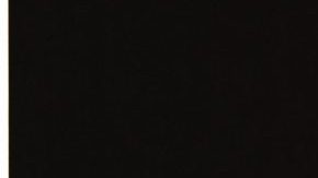 Photo by Tayo Oyekan. Courtesy of Pitch Perfect PR