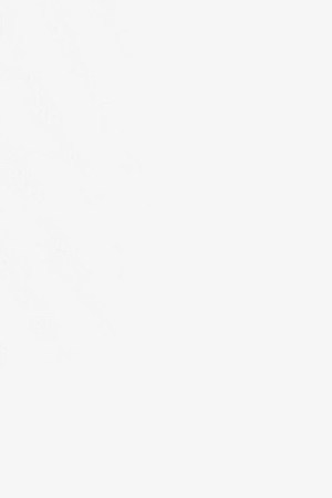 Angela Abreu. Courtesy of Dominican Writers Association