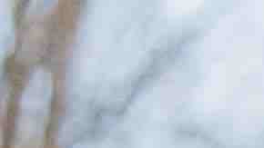 Photo courtesy of Tiffany Cabán