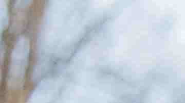 Photo courtesy of Tiffany Cabán