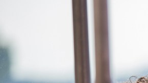 Courtesy of Cannes Film Festival