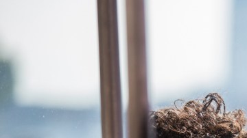 Courtesy of Cannes Film Festival