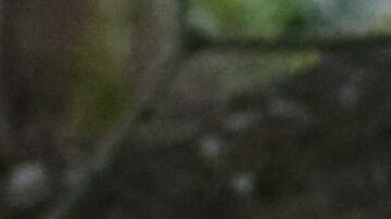 Photo by Stephanie Orentas. Courtesy Combo Chimbita