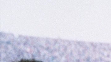 Courtesy of Altitude Films