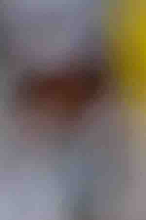 Pope Francis celebrates Mass at Zayed Sport City on February 5, 2019 in Abu Dhabi, United Arab Emirates. Photo by Francois Nel/Getty Images