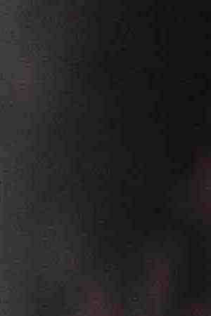 Rep. Lauren Underwood (D-IL) speaks to members of the press ahead of the State of the Union address in the chamber of the U.S. House of Representatives at the U.S. Capitol Building on February 5, 2019 in Washington, DC. Photo by Zach Gibson/Getty Images